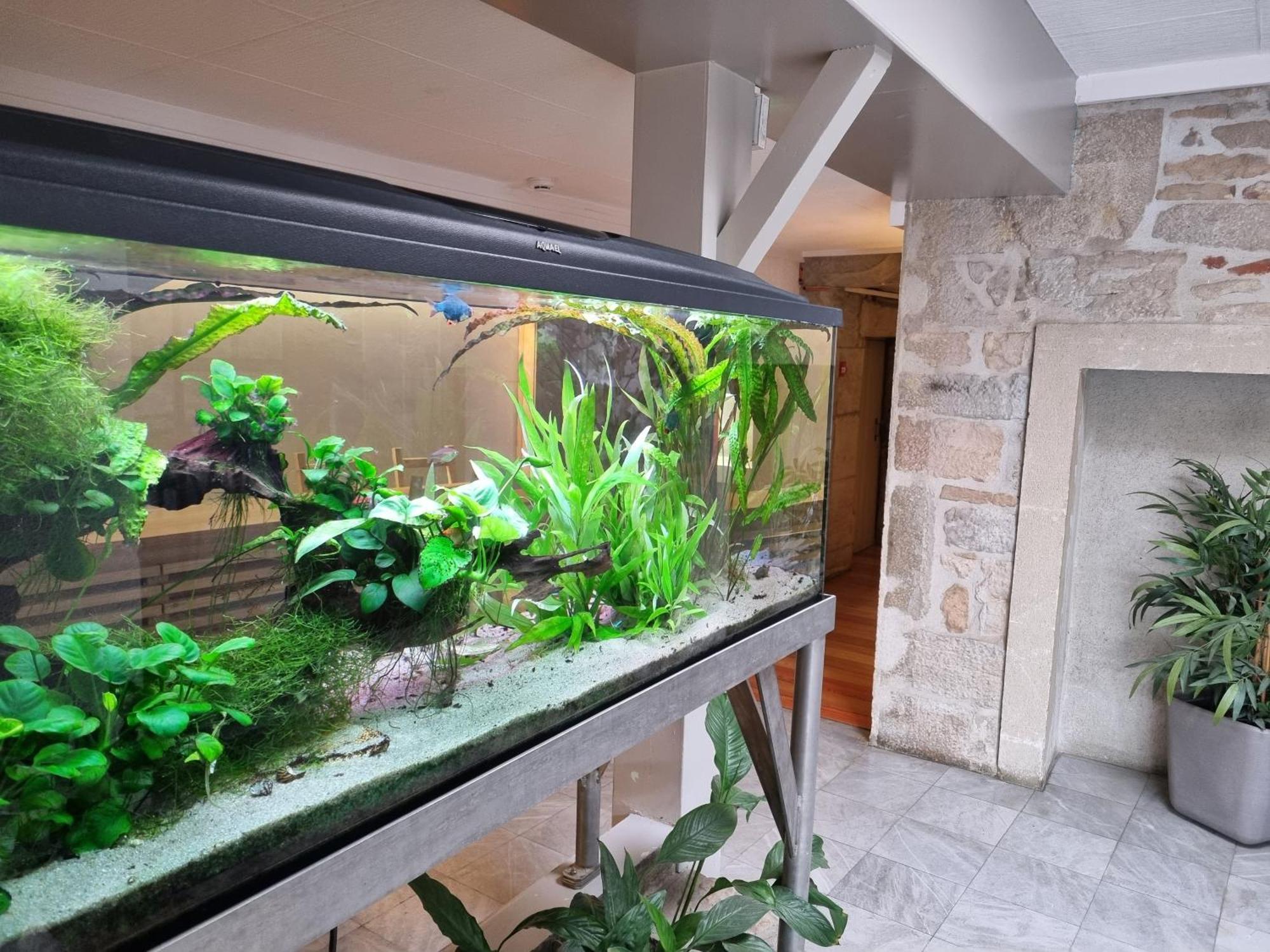 Hotel Le Bourgogne Cuiseaux Dış mekan fotoğraf